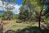 33 Calle Del Bosque - Photo 6