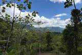  Coffee & Fruit Farm in San Luis De San Isidro - Photo 11