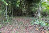  Coffee & Fruit Farm in San Luis De San Isidro - Photo 12