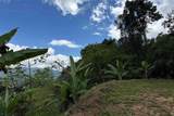  Coffee & Fruit Farm in San Luis De San Isidro - Photo 14
