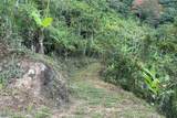  Coffee & Fruit Farm in San Luis De San Isidro - Photo 16