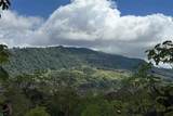  Coffee & Fruit Farm in San Luis De San Isidro - Photo 17