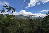  Coffee & Fruit Farm in San Luis De San Isidro - Photo 18