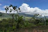  Coffee & Fruit Farm in San Luis De San Isidro - Photo 19