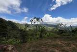  Coffee & Fruit Farm in San Luis De San Isidro - Photo 20