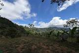  Coffee & Fruit Farm in San Luis De San Isidro - Photo 21