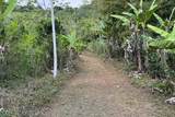  Coffee & Fruit Farm in San Luis De San Isidro - Photo 23