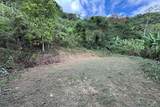  Coffee & Fruit Farm in San Luis De San Isidro - Photo 24