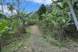  Coffee & Fruit Farm in San Luis De San Isidro - Photo 25