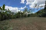  Coffee & Fruit Farm in San Luis De San Isidro - Photo 26