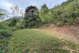  Coffee & Fruit Farm in San Luis De San Isidro - Photo 4