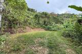  Coffee & Fruit Farm in San Luis De San Isidro - Photo 5