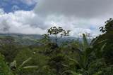  Coffee & Fruit Farm in San Luis De San Isidro - Photo 6