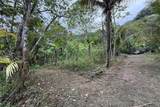  Coffee & Fruit Farm in San Luis De San Isidro - Photo 7