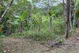  Coffee & Fruit Farm in San Luis De San Isidro - Photo 8