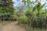  Coffee & Fruit Farm in San Luis De San Isidro - Photo 9
