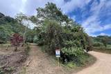  Coffee & Fruit Farm in San Luis De San Isidro - Photo 3
