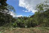  Coffee & Fruit Farm in San Luis De San Isidro - Photo 4
