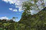  Coffee & Fruit Farm in San Luis De San Isidro - Photo 6