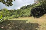  Coffee & Fruit Farm in San Luis De San Isidro - Photo 8
