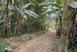  Coffee & Fruit Farm in San Luis De San Isidro - Photo 9