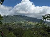  Coffee & Fruit Farm in San Luis De San Isidro - Photo 3
