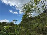  Coffee & Fruit Farm in San Luis De San Isidro - Photo 5