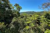  Valley & Ocean View 2-Bedroom On Lagunas Main Road - Photo 25