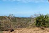  El Sue&ntilde;o, Los Jobos, Tamarindo - Photo 21