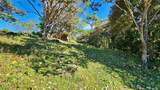  Playa Verde Permaculture Corner Lot - Photo 10