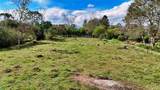  Playa Verde Permaculture Corner Lot - Photo 14