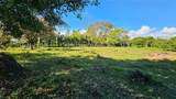  Playa Verde Permaculture Corner Lot - Photo 4