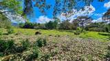  Playa Verde Permaculture Corner Lot - Photo 7