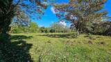  Playa Verde Permaculture Corner Lot - Photo 8