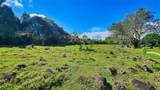  Playa Verde Permaculture Lot - Photo 1