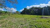  Playa Verde Permaculture Lot - Photo 10
