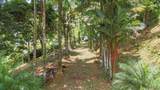 Bejuco Uvita - Photo 23