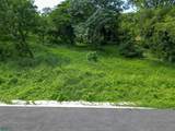 Mango Walk Lots 12 & Double Forest Lots Near Playa Minas - Photo 5