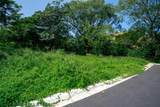 Mango Walk Lots 12 & Double Forest Lots Near Playa Minas - Photo 7