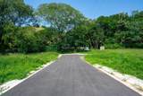 Mango Walk Lots 12 & Double Forest Lots Near Playa Minas - Photo 9