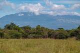  Finca Infinita | Papagayo - Photo 13
