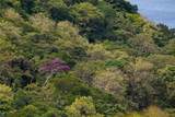  Finca Infinita | Papagayo - Photo 3