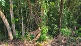  Cerro Adams - Photo 11