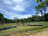  Vista Turrialba Lodge - Photo 10