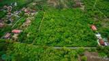 Cielo Mar, 50 Acres Flamingo - Photo 13