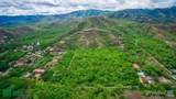  Cielo Mar, 50 Acres Flamingo - Photo 9
