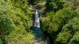  Luxury Waterfall Farm - Photo 9