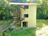 2 Limonal - Photo 10