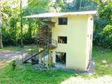 2 Limonal - Photo 11