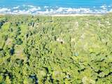 2 Limonal - Photo 14